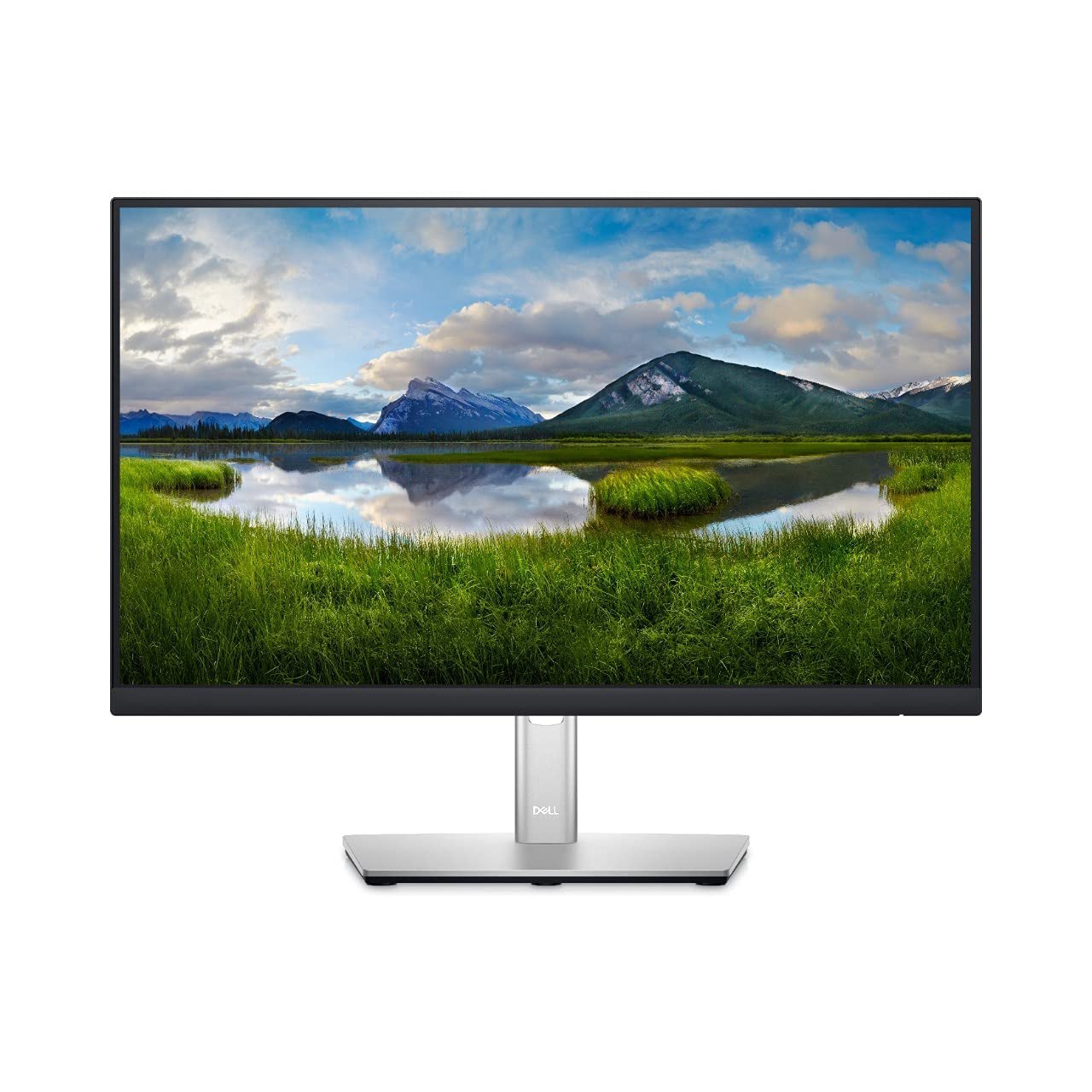 Dell 22" (1080p) Full HD  LED Monitor P2222H main image